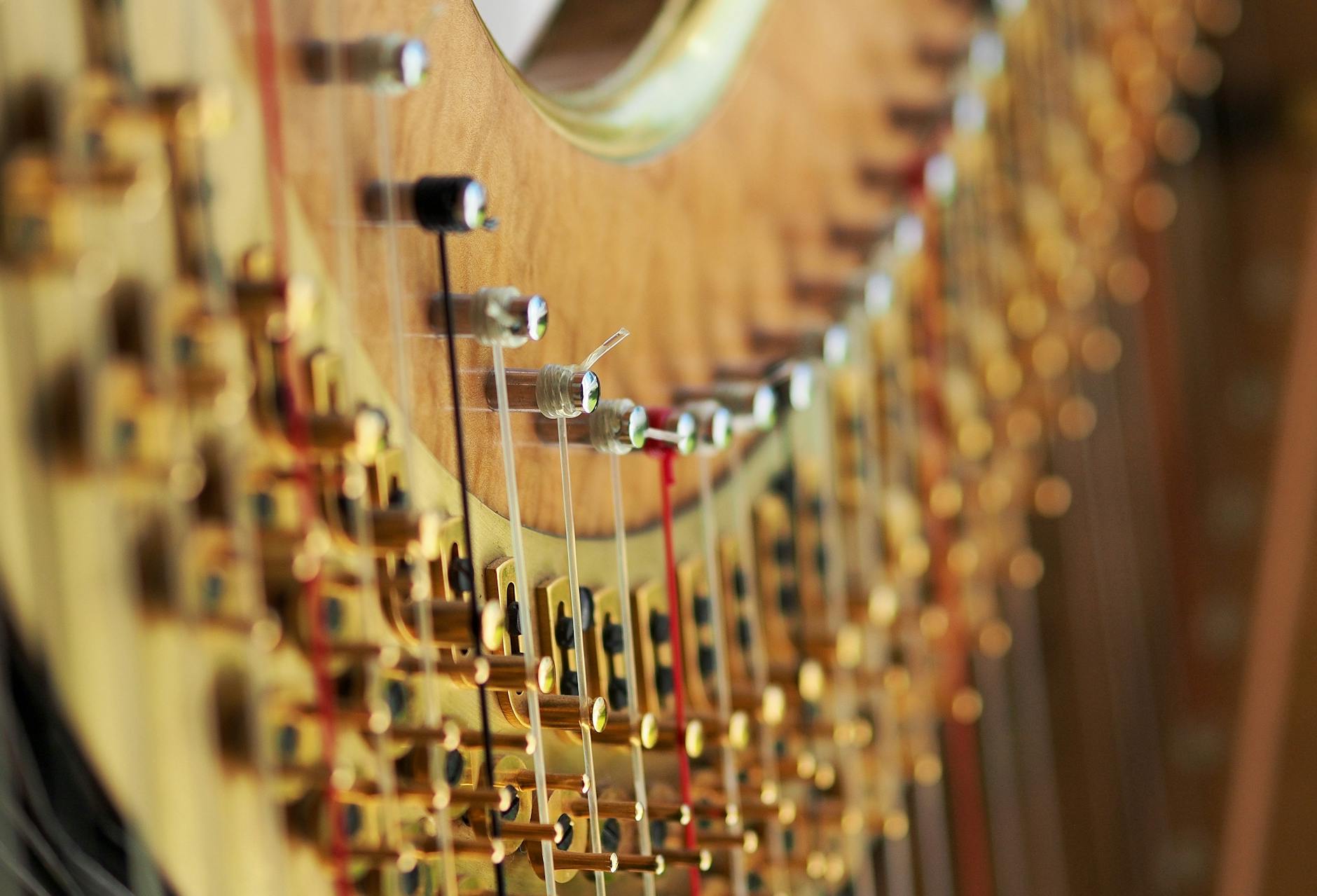 selective focus photography of string musical instrument