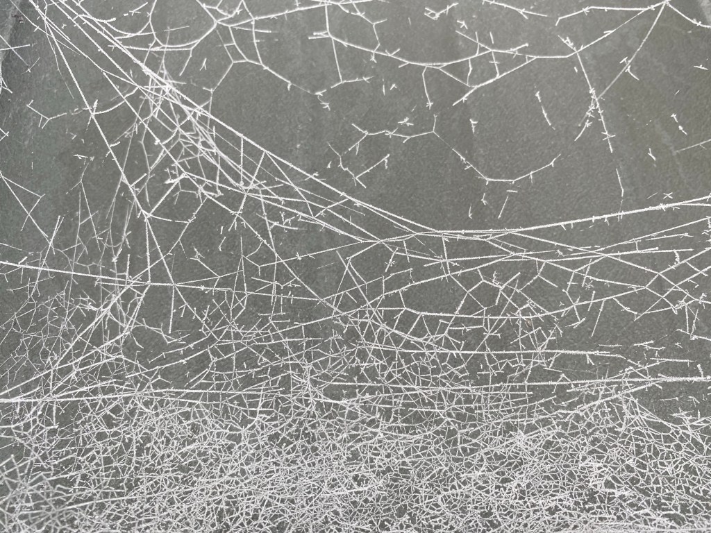 Pełen myśli ciepłych